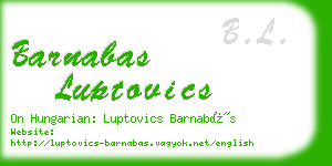 barnabas luptovics business card